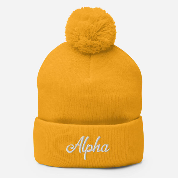 Alpha Pom-Pom Beanie - Image 11