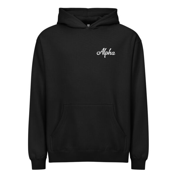 Alpha Men’s box hoodie